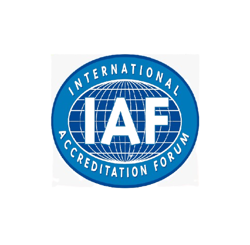 ssxl-removebg-preview